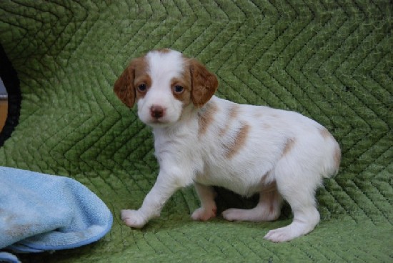 HOLLY (#5 GIRL) - SOLD